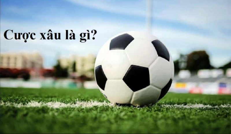 Tại Mibet, cược xâu cho phép bạn ghép từ 2 đến nhiều sự kiện khác nhau