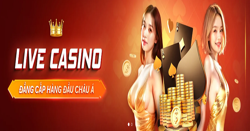 Ngoài cá cược bóng đá, Mibet còn cung cấp nhiều dịch vụ cá cược khác