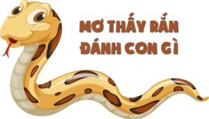 Nằm mơ thấy rắn điềm báo nhiều dữ liệu thú vị cho bạn