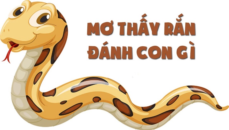 Nằm mơ thấy rắn điềm báo nhiều dữ liệu thú vị cho bạn